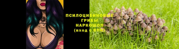 jwh Лиски