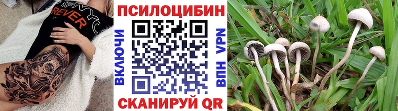 Купить где  Белоозёрский  Псилоцибиновые грибы ЛСД 